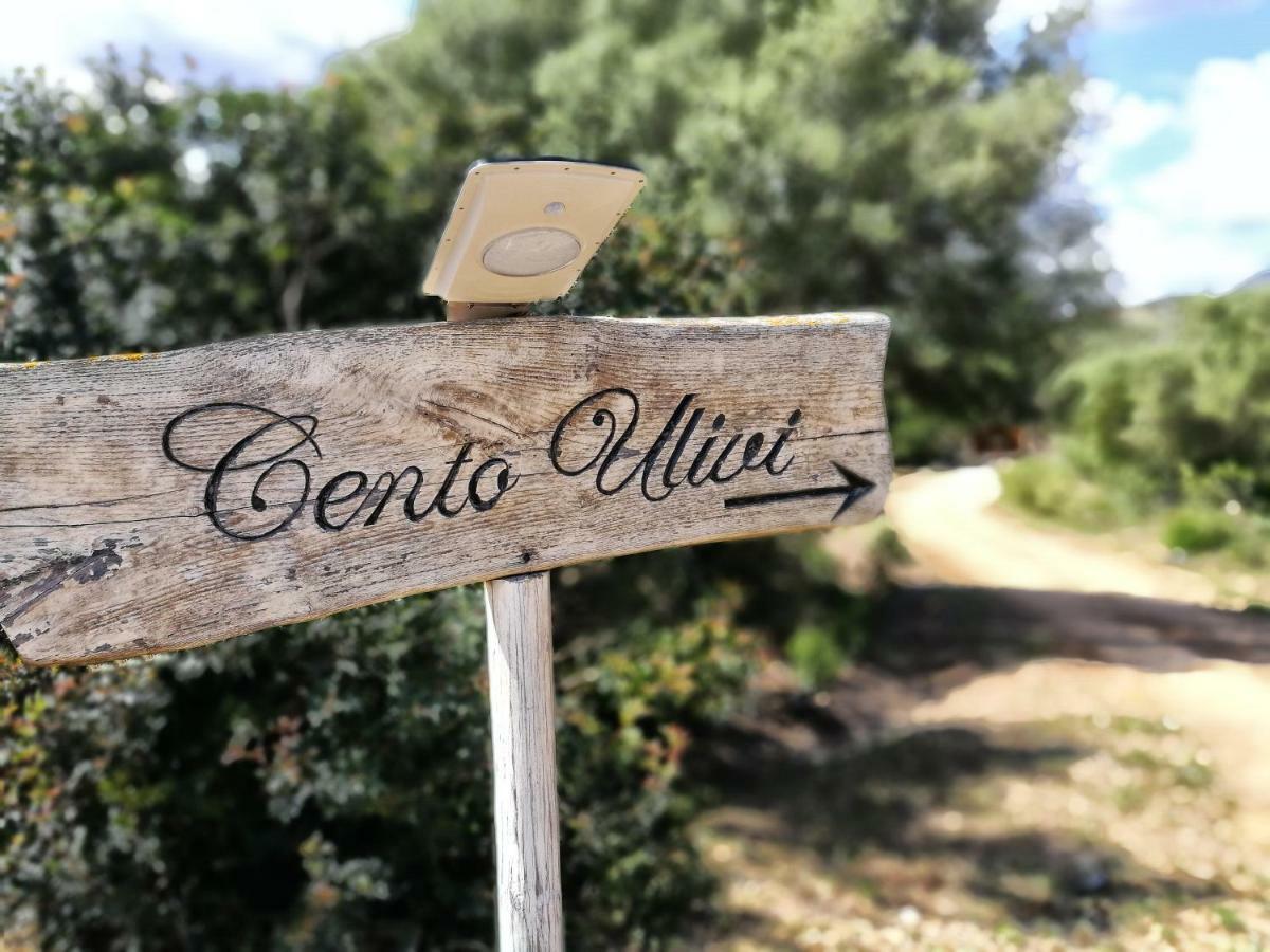 Cento Ulivi B&B Golfo Aranci Exterior photo